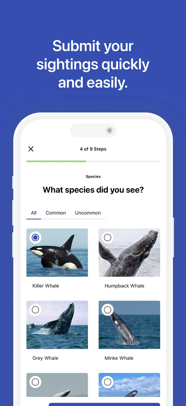 Whale Report screenshot 4