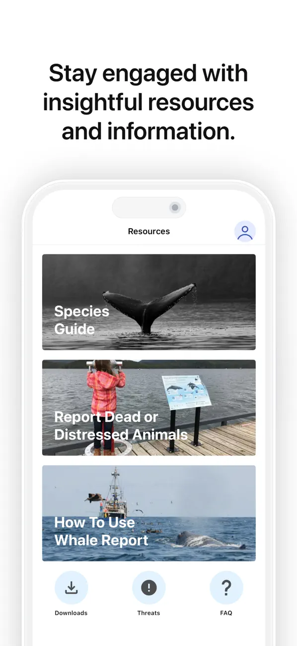 Whale Report screenshot 1