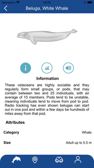 Whale Reporter screenshot 1