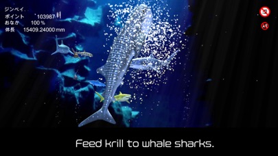 whale shark that grows calmly screenshot 3