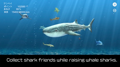 whale shark that grows calmly screenshot 4