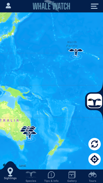 Whale Watching screenshot 4