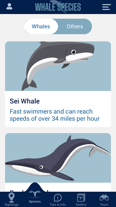 Whale Watching screenshot 2