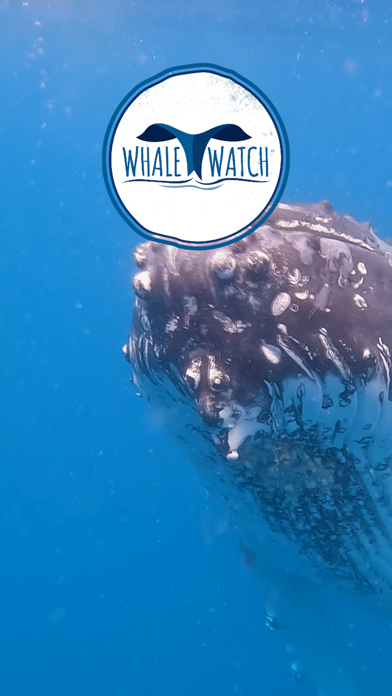 Whale Watching screenshot 5