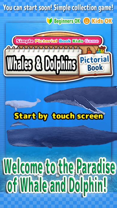 Whales & Dolphins of the World -Simple Pictorial Book Kids Game - screenshot 2