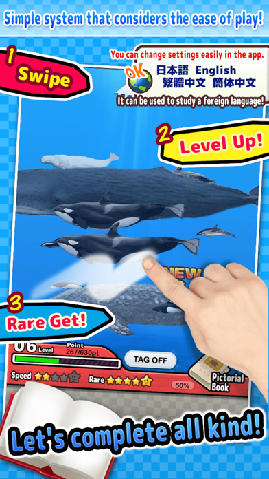 Whales & Dolphins of the World -Simple Pictorial Book Kids Game - screenshot 1
