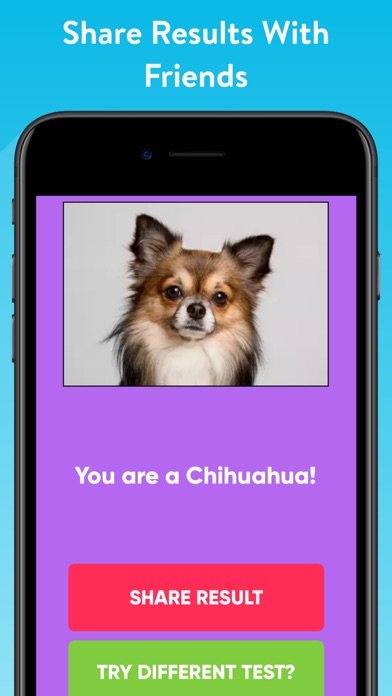 What Type Of Dog Are You? screenshot 1