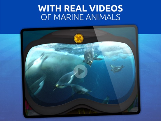 What’s in The Oceans? screenshot 2