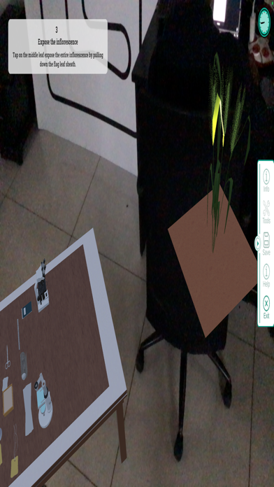 Wheat Hybridization screenshot 4