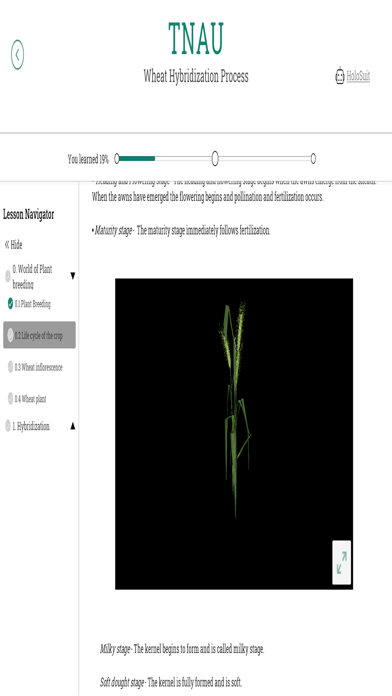 Wheat Hybridization screenshot 3