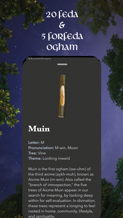 Wheel of the Year - Moon Magic screenshot 2