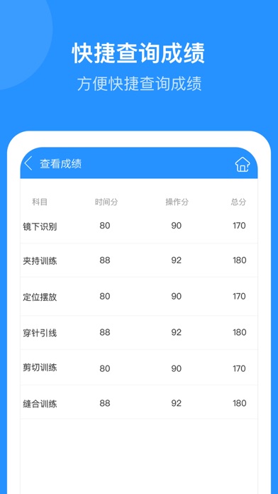 Whetstone OS screenshot 3
