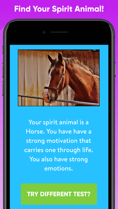 Which Animal Are You? screenshot 2