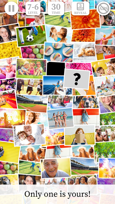 WhichPic? Photos Game! screenshot 2