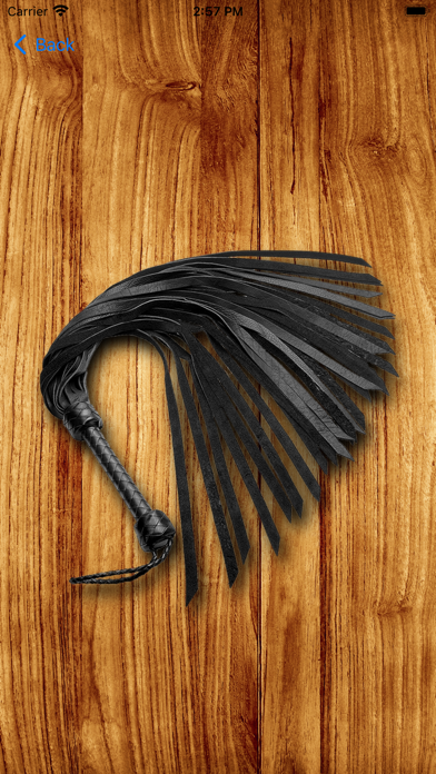 Whip Simulator - Pocket Whip screenshot 2