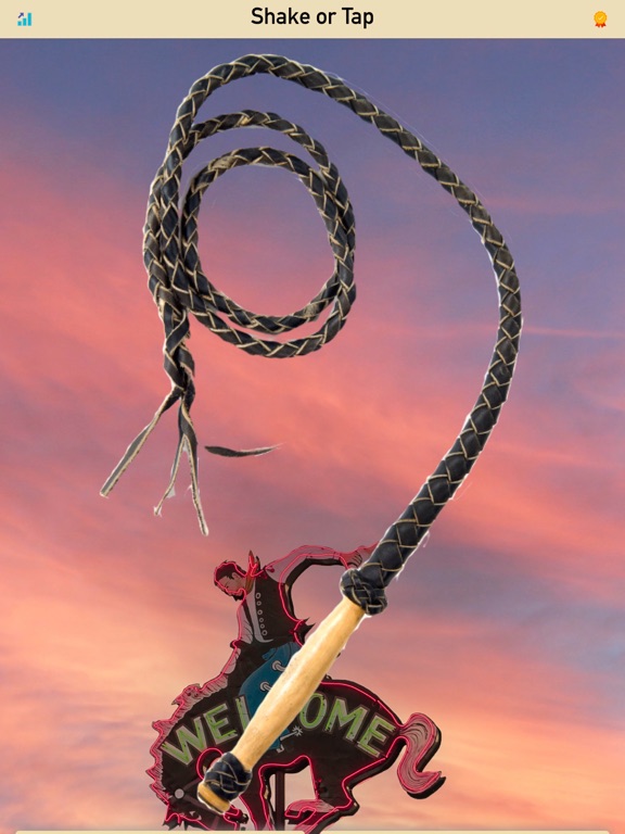 Whip Sound Pocket Simulator screenshot 5