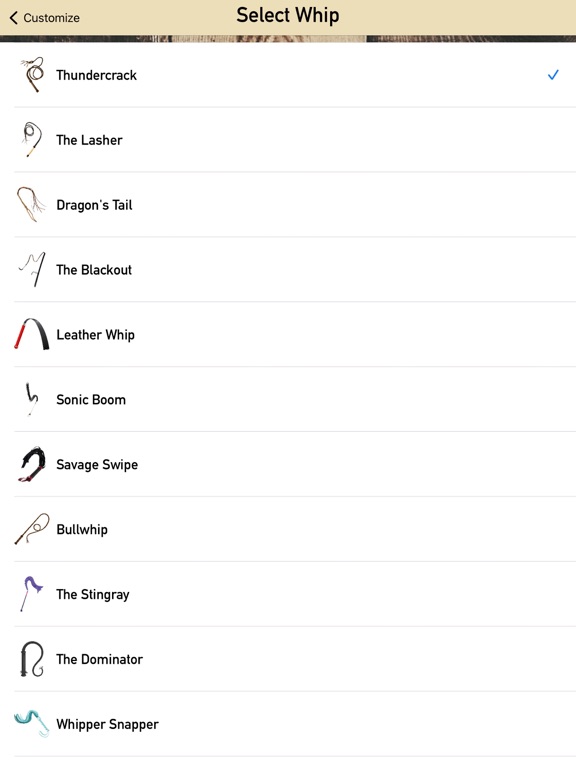 Whip Sound Pocket Simulator screenshot 9