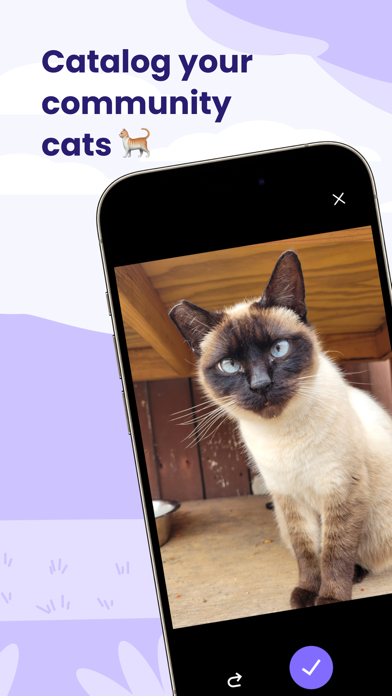 Whisker Tracker - Cat Finder screenshot 7