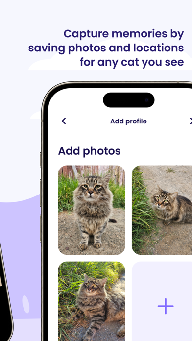 Whisker Tracker - Cat Finder screenshot 6