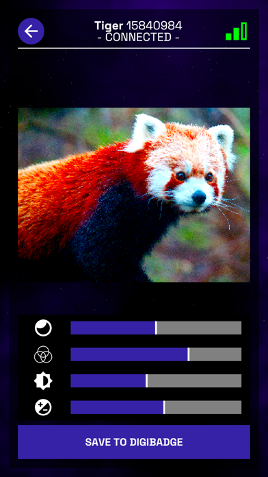 whiskerwire_ companion screenshot 3
