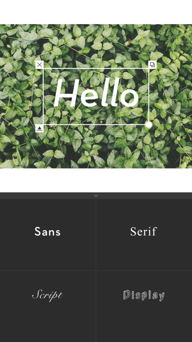 Whitagram screenshot 3