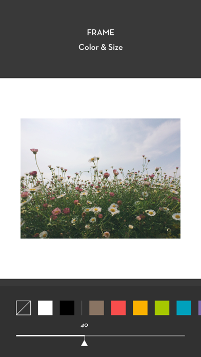 Whitagram screenshot 4