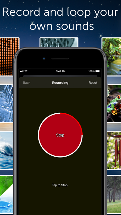 White Noise screenshot 4