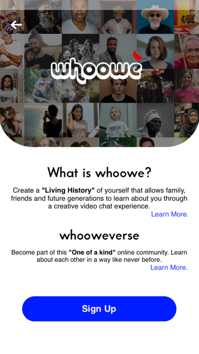 whoowe - video biography screenshot 4