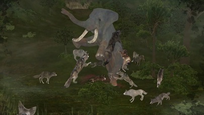 Wild Animals Online(WAO) screenshot 4