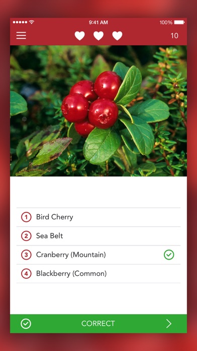 Wild Berries and Herbs LITE screenshot 3
