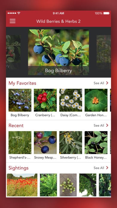 Wild Berries and Herbs LITE screenshot 1