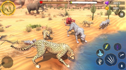 Wild Cheetah Family Sim 3D screenshot 3