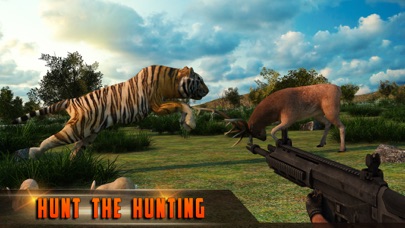 Wild Hunter Jungle Shooting 3D screenshot 1