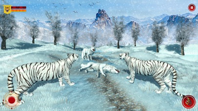 Wild Snow Tiger Safari Animal screenshot 4