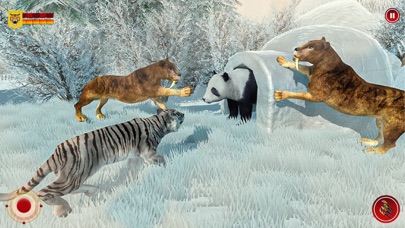 Wild Snow Tiger Safari Animal screenshot 3
