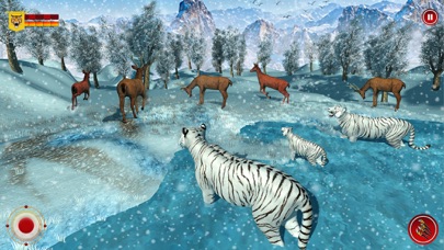 Wild Snow Tiger Safari Animal screenshot 1