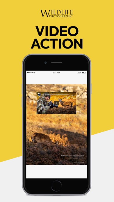 Wildlife Photographic Magazine screenshot 2