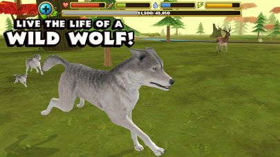 Wildlife Simulator: Wolf screenshot 5