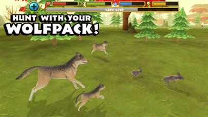 Wildlife Simulator: Wolf screenshot 3