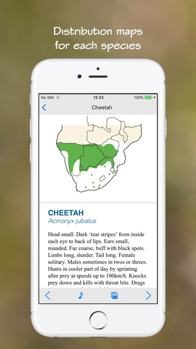 Wildlife Southern Africa screenshot 1