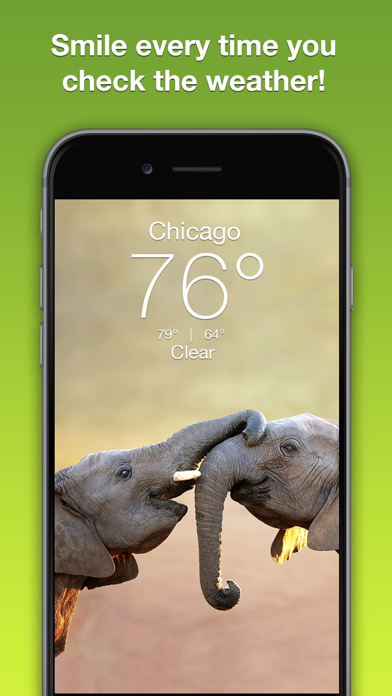 Wildlife Wallpaper Weather screenshot 5