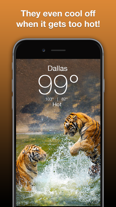 Wildlife Wallpaper Weather screenshot 2