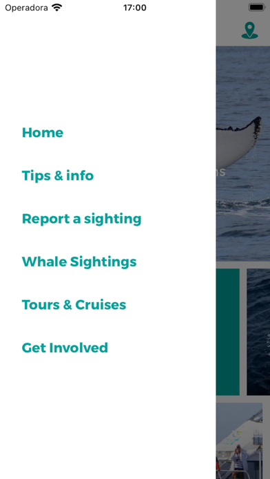Wildlife Whales screenshot 3