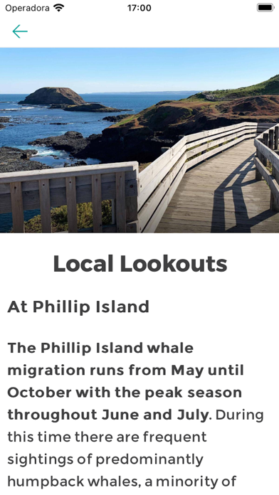 Wildlife Whales screenshot 1
