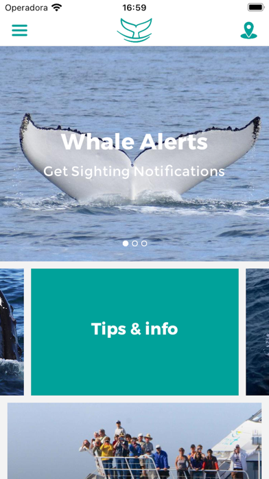 Wildlife Whales screenshot 4
