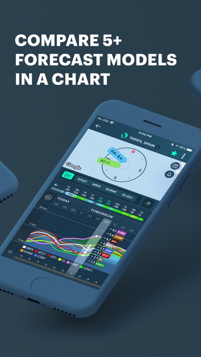 Windy Pro: marine weather app screenshot 3