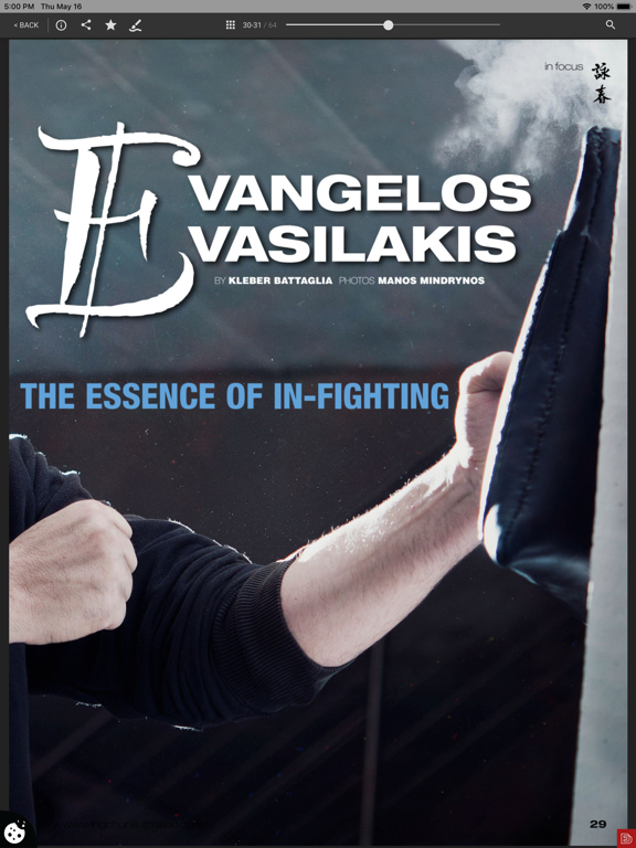 Wing Chun Illustrated screenshot 7