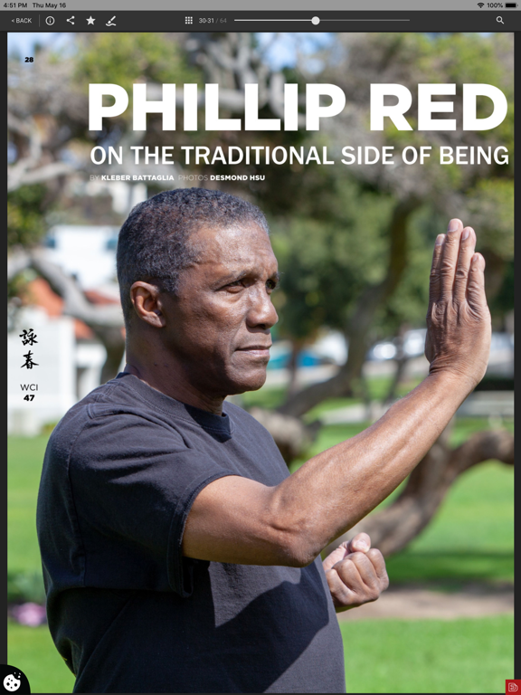 Wing Chun Illustrated screenshot 10