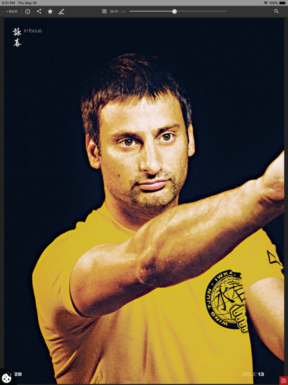Wing Chun Illustrated screenshot 2