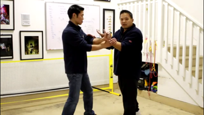 Wing Chun Master Class screenshot 3